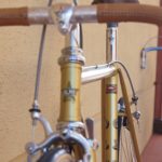 no674_olmo_competition_530_gold