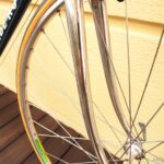 no902_derosa bluegreen