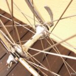 no902_derosa bluegreen