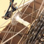 no902_derosa bluegreen