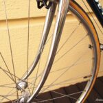 no902_derosa bluegreen