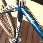 no902_derosa bluegreen